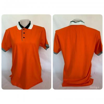 20181104 190103 0104